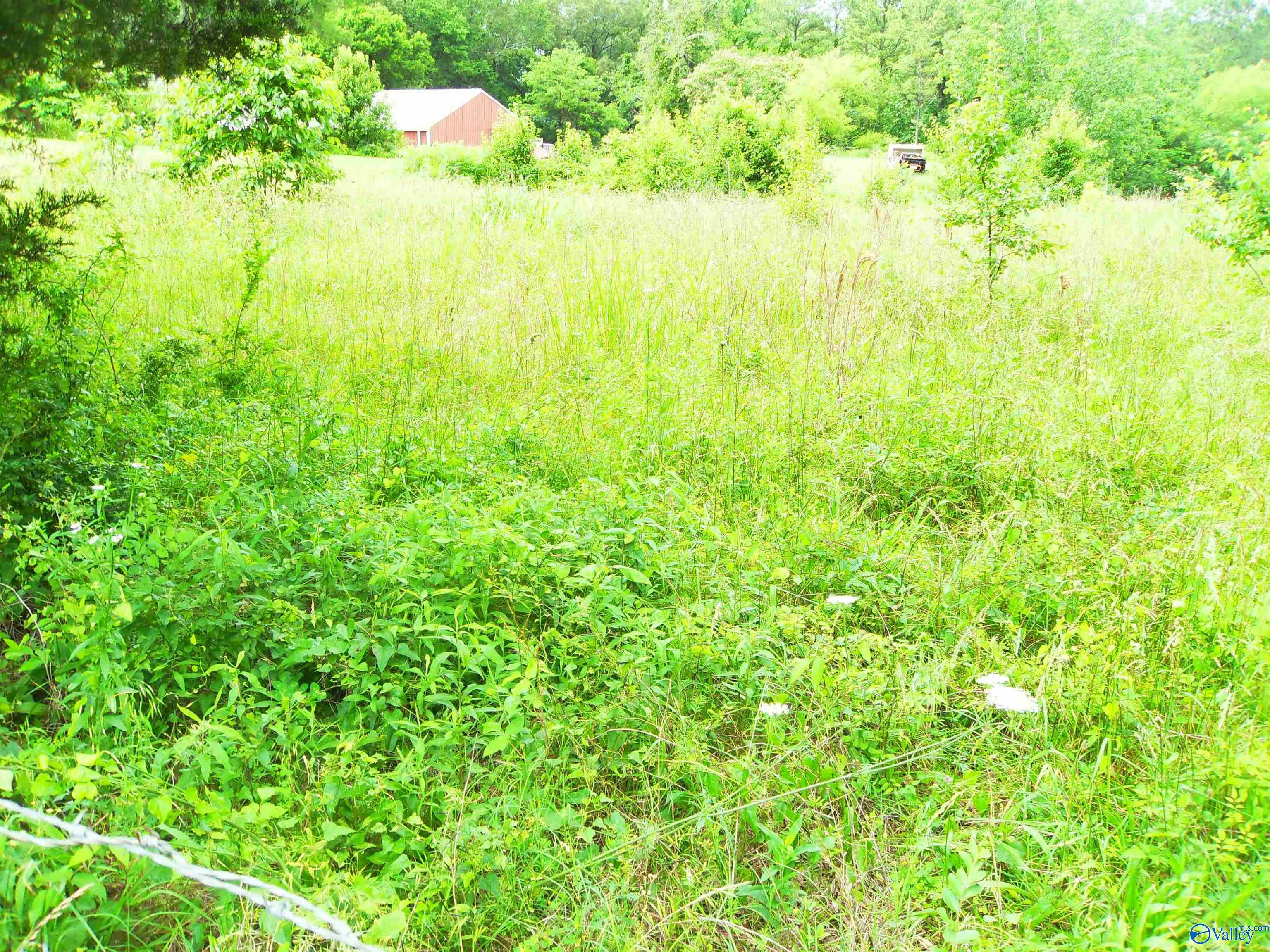 Lot 1 Parker Street, Decatur, Alabama image 3