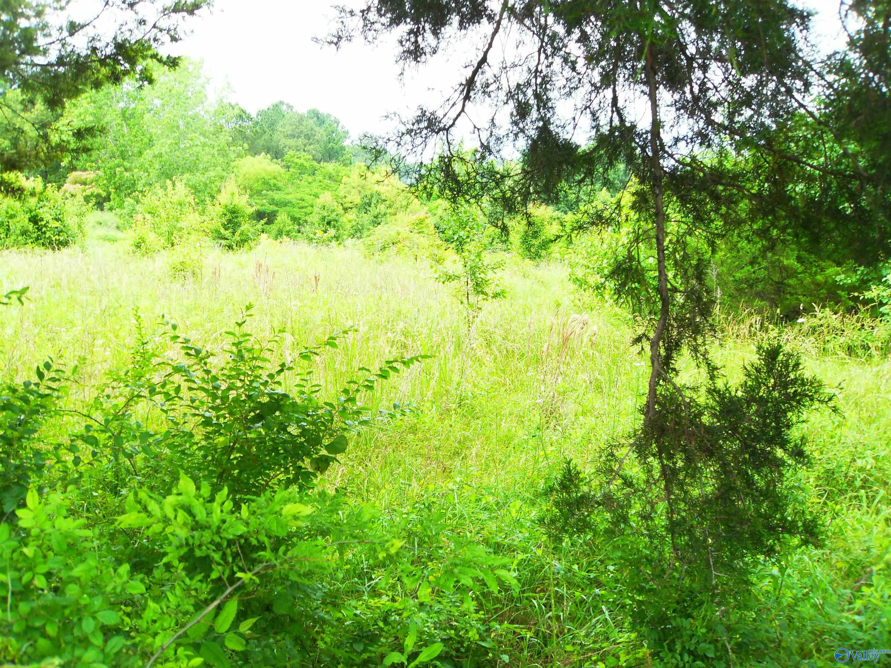 Lot 1 Parker Street, Decatur, Alabama image 4