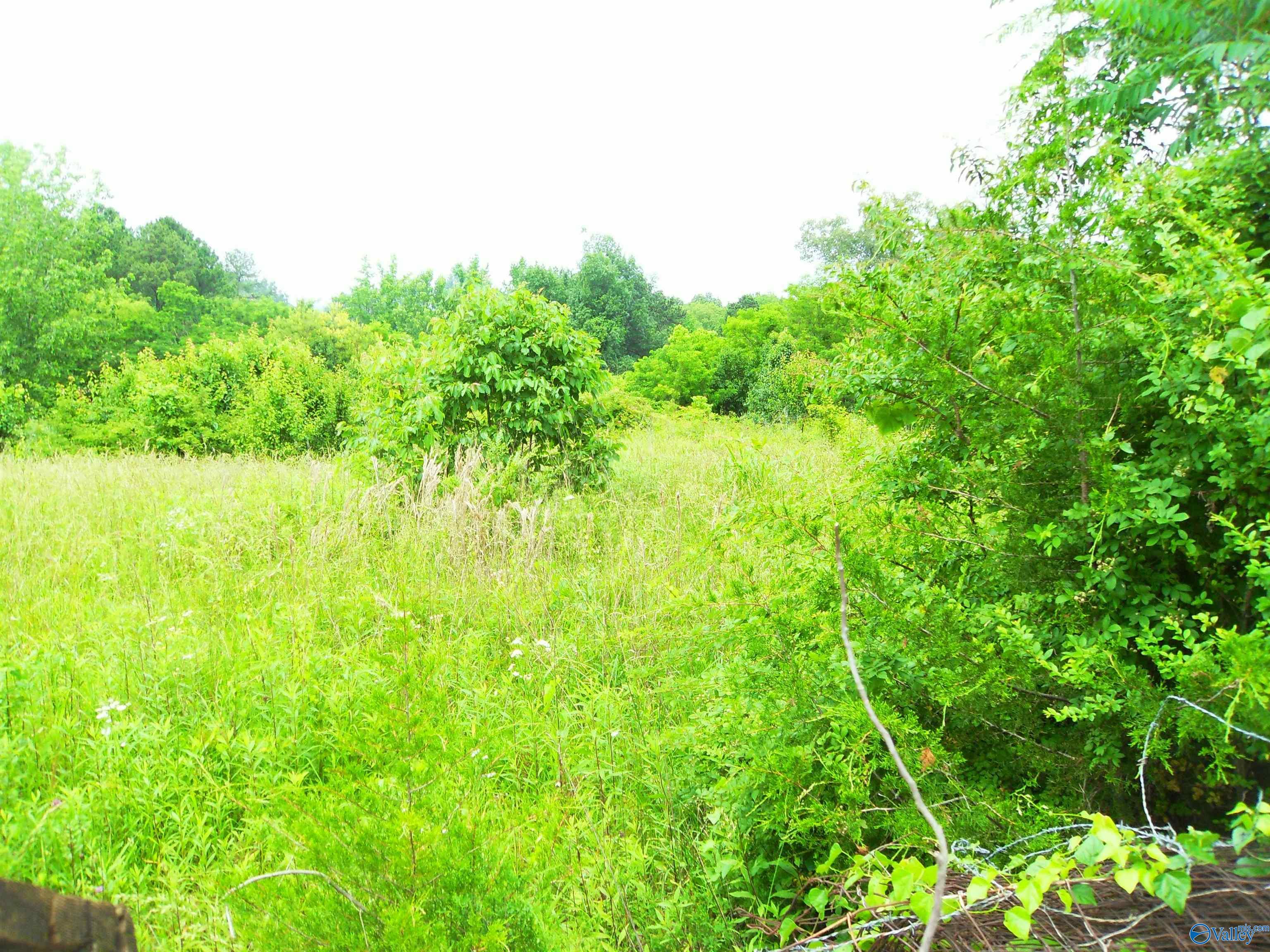Lot 1 Parker Street, Decatur, Alabama image 5