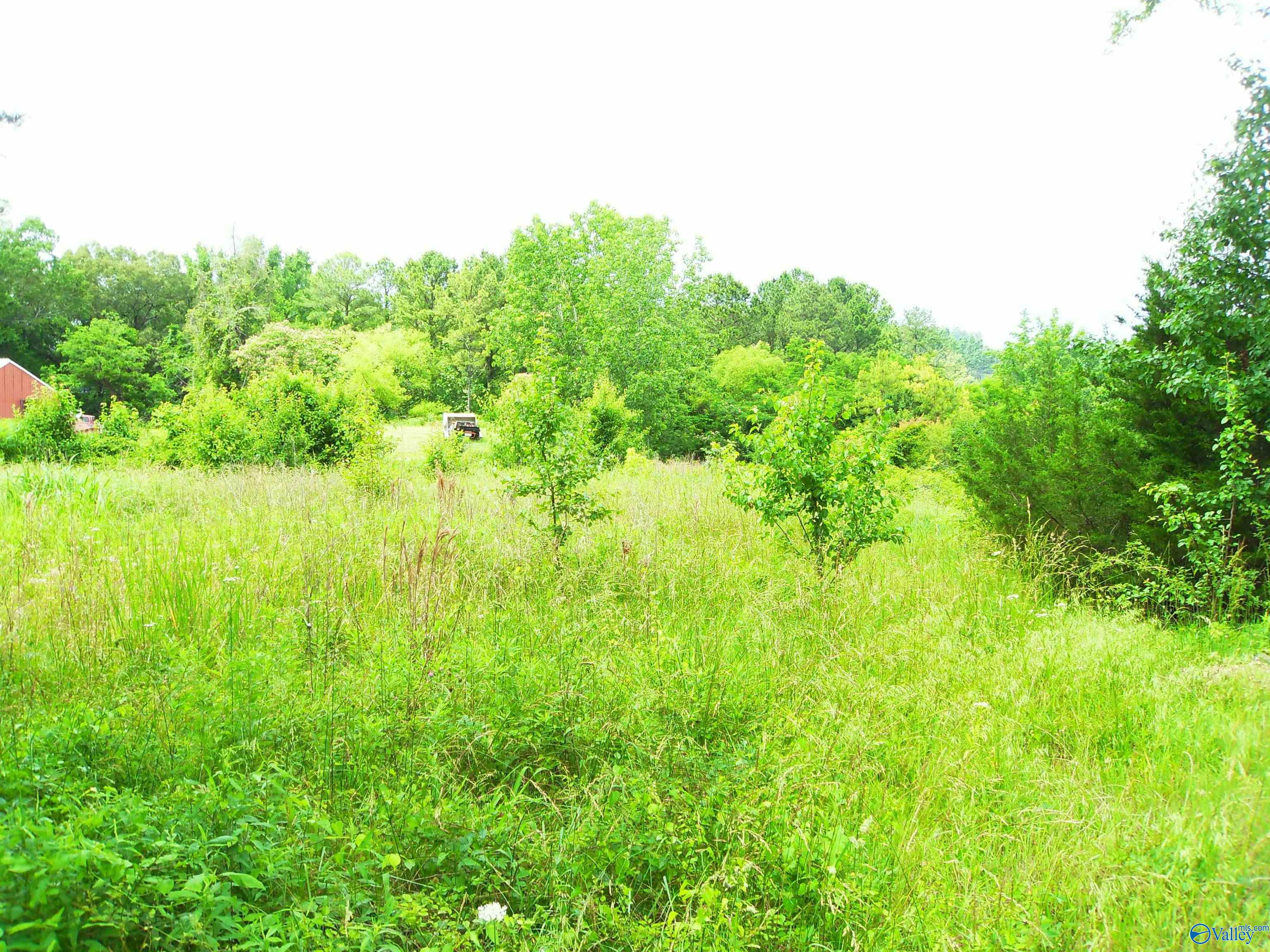 Lot 1 Parker Street, Decatur, Alabama image 1