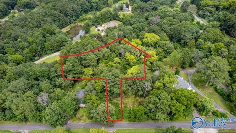 Vacant Land For Sale - 2.84+/- Brindley Street<br/> Etowah County, Gadsden, AL 35904