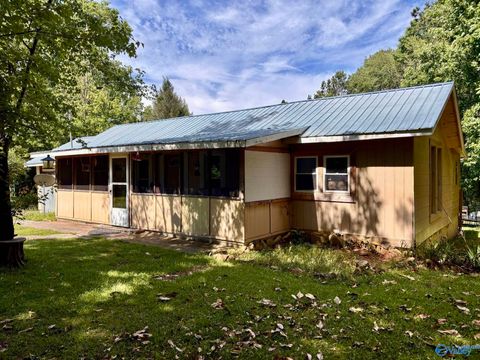 2101 Wallace Avenue NE Fort Payne AL 35967