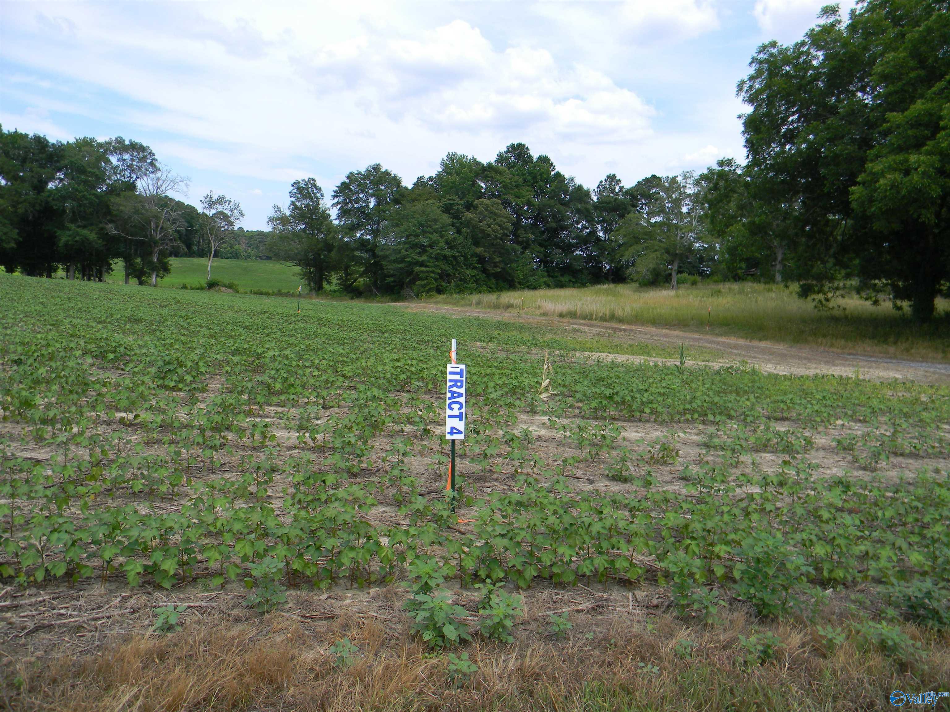 Lot 4 County Road 40, Centre, Alabama image 1