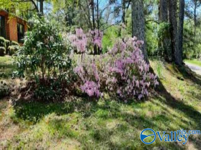 3212 County Road 730, Cullman, Alabama image 50