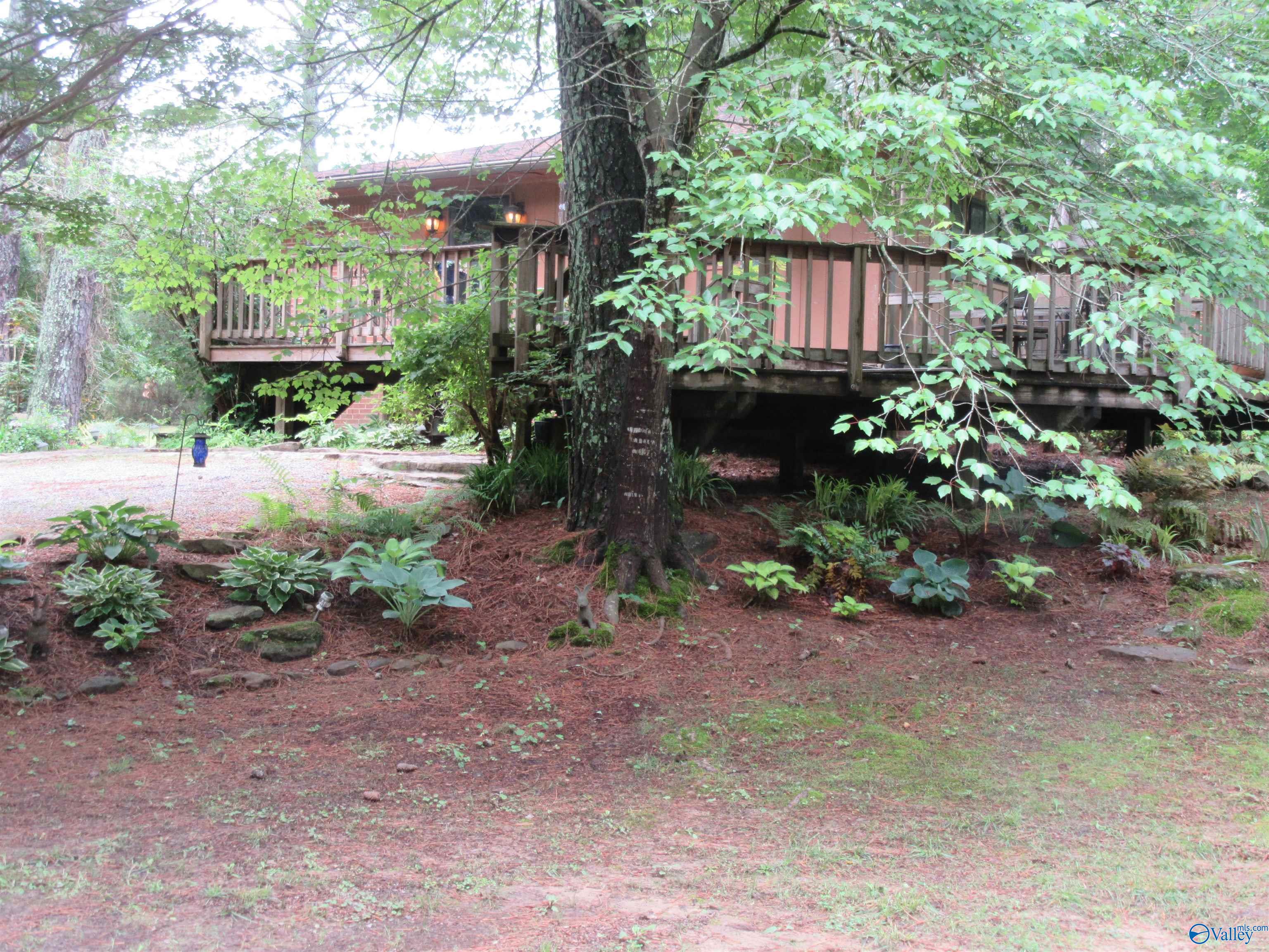 3212 County Road 730, Cullman, Alabama image 24