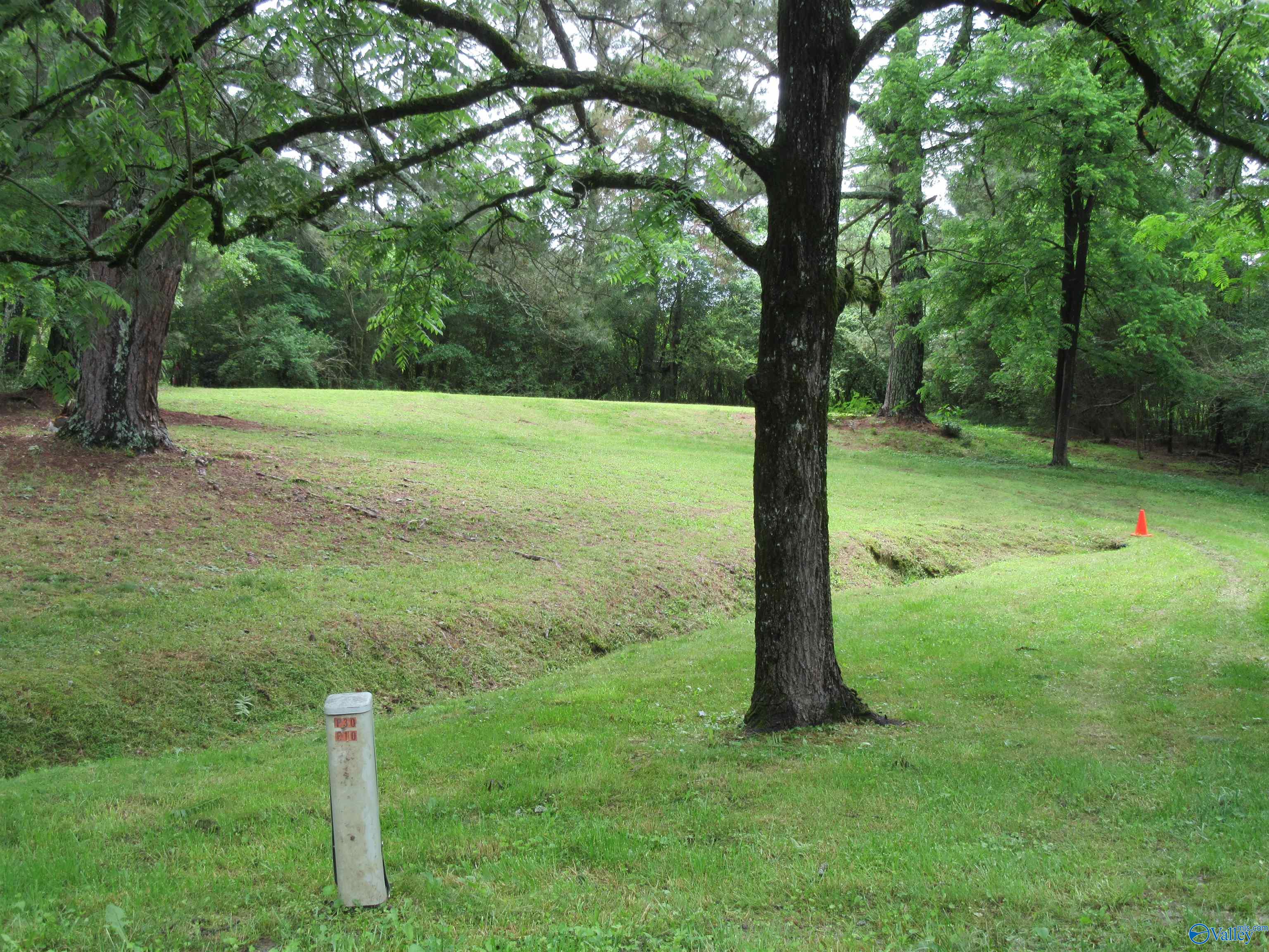 3212 County Road 730, Cullman, Alabama image 23