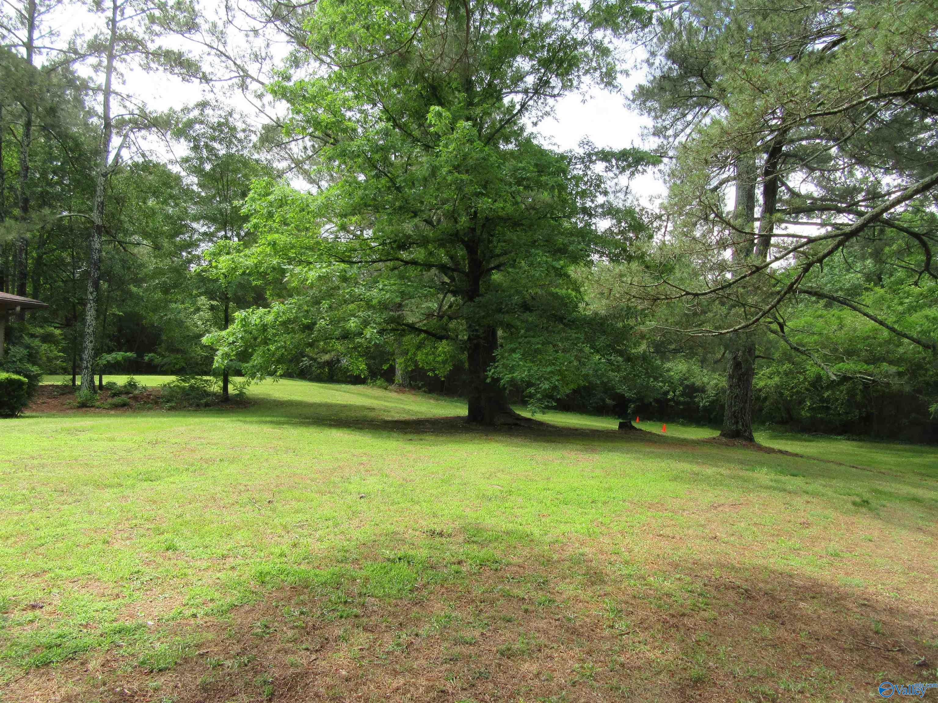 3212 County Road 730, Cullman, Alabama image 3