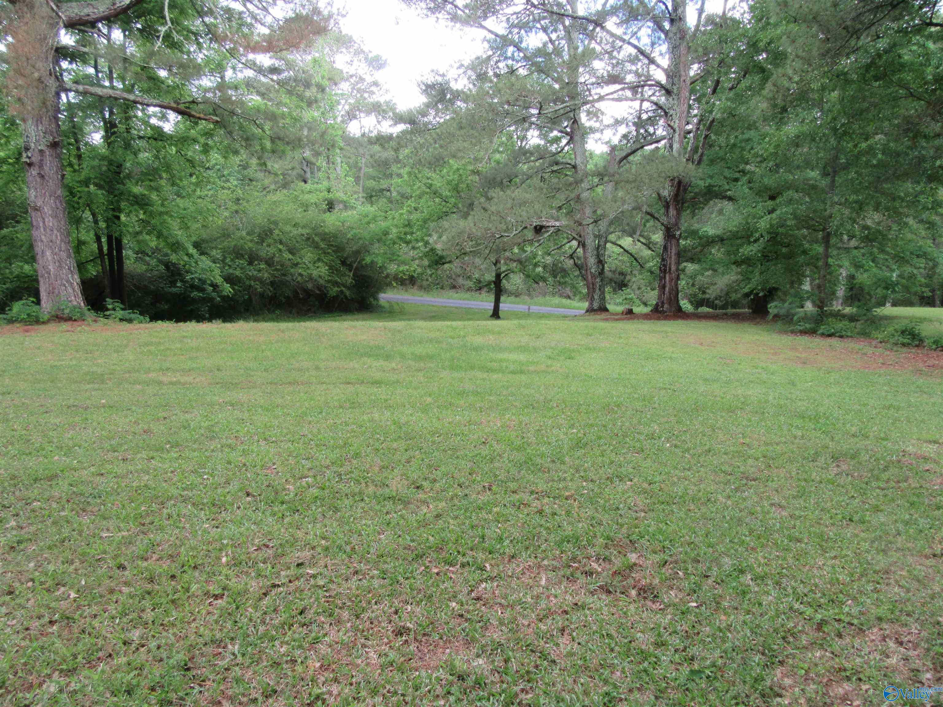 3212 County Road 730, Cullman, Alabama image 21