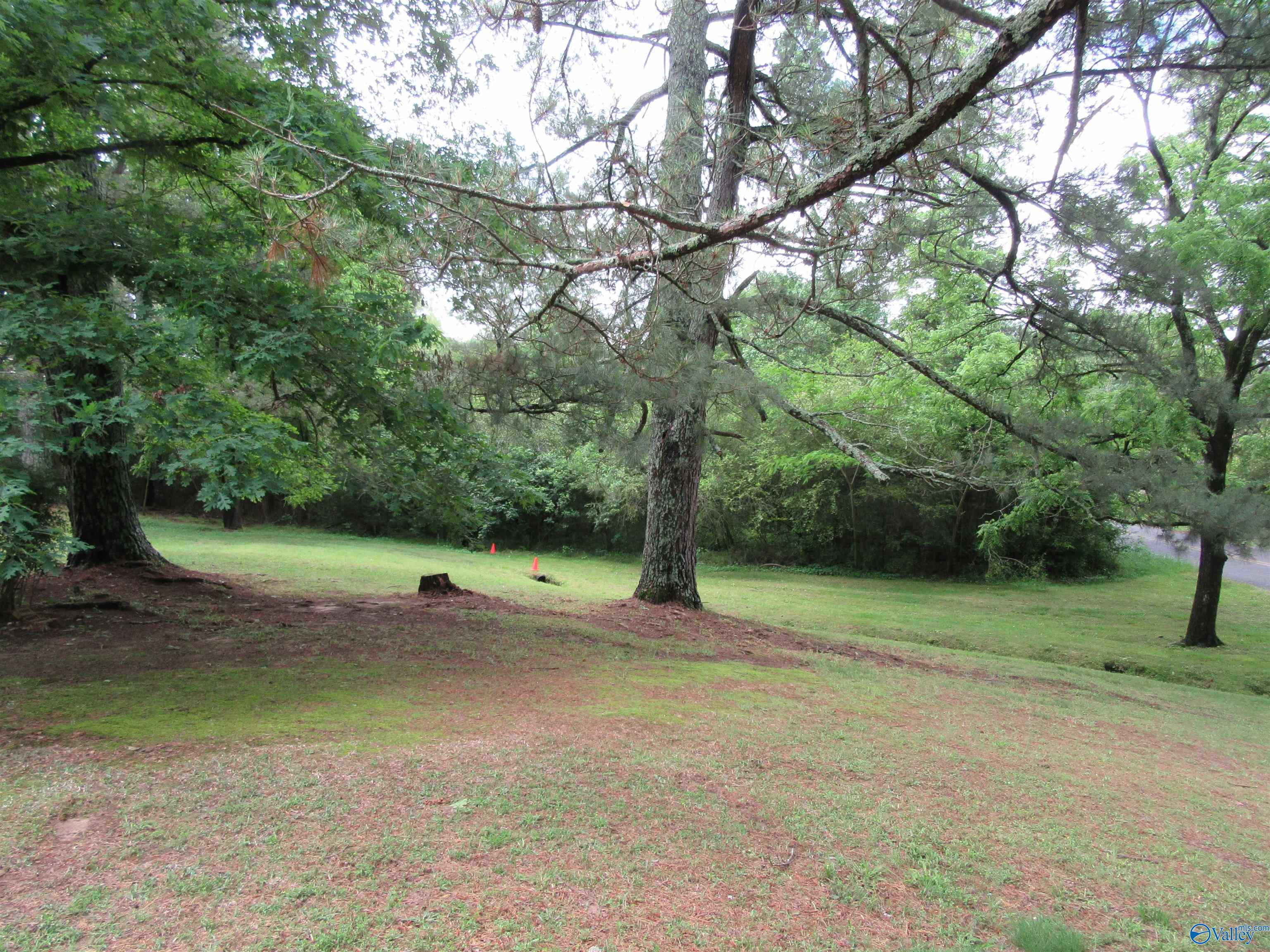 3212 County Road 730, Cullman, Alabama image 2