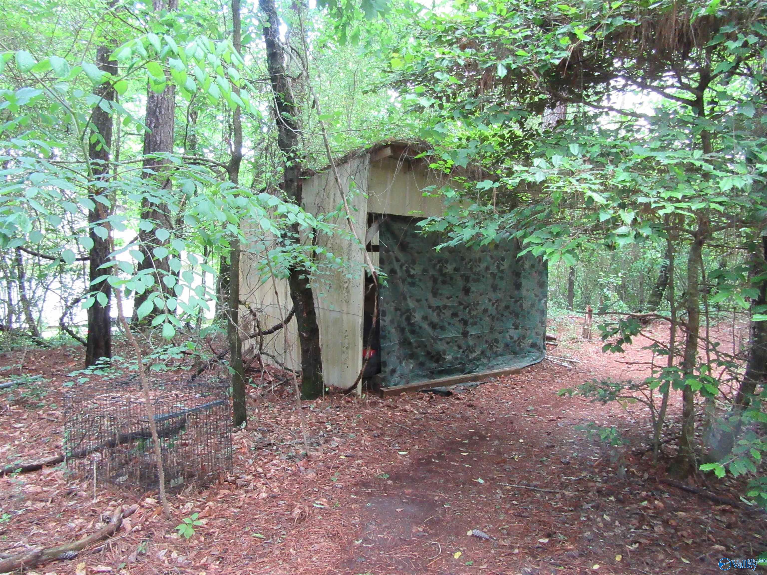 3212 County Road 730, Cullman, Alabama image 15
