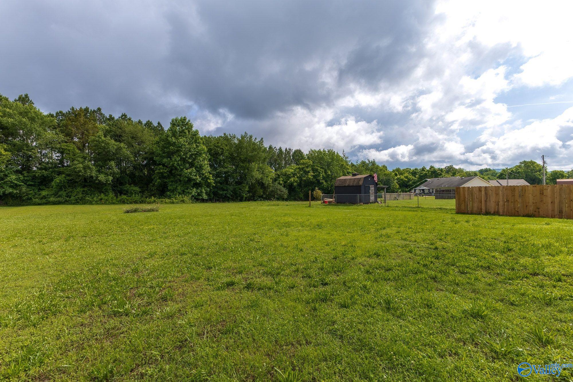 153 Buckhead Run, New Market, Alabama image 19