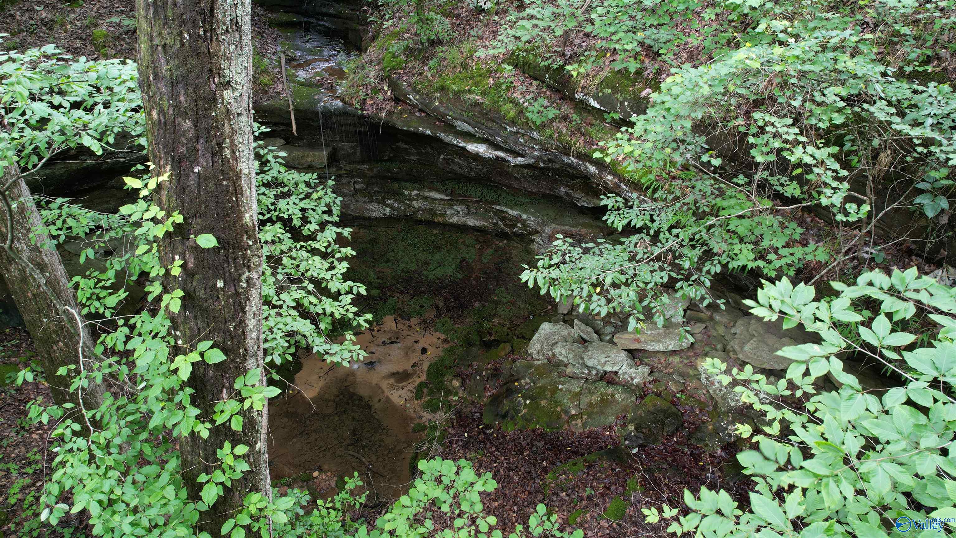 001 County Road 84, Danville, Alabama image 30