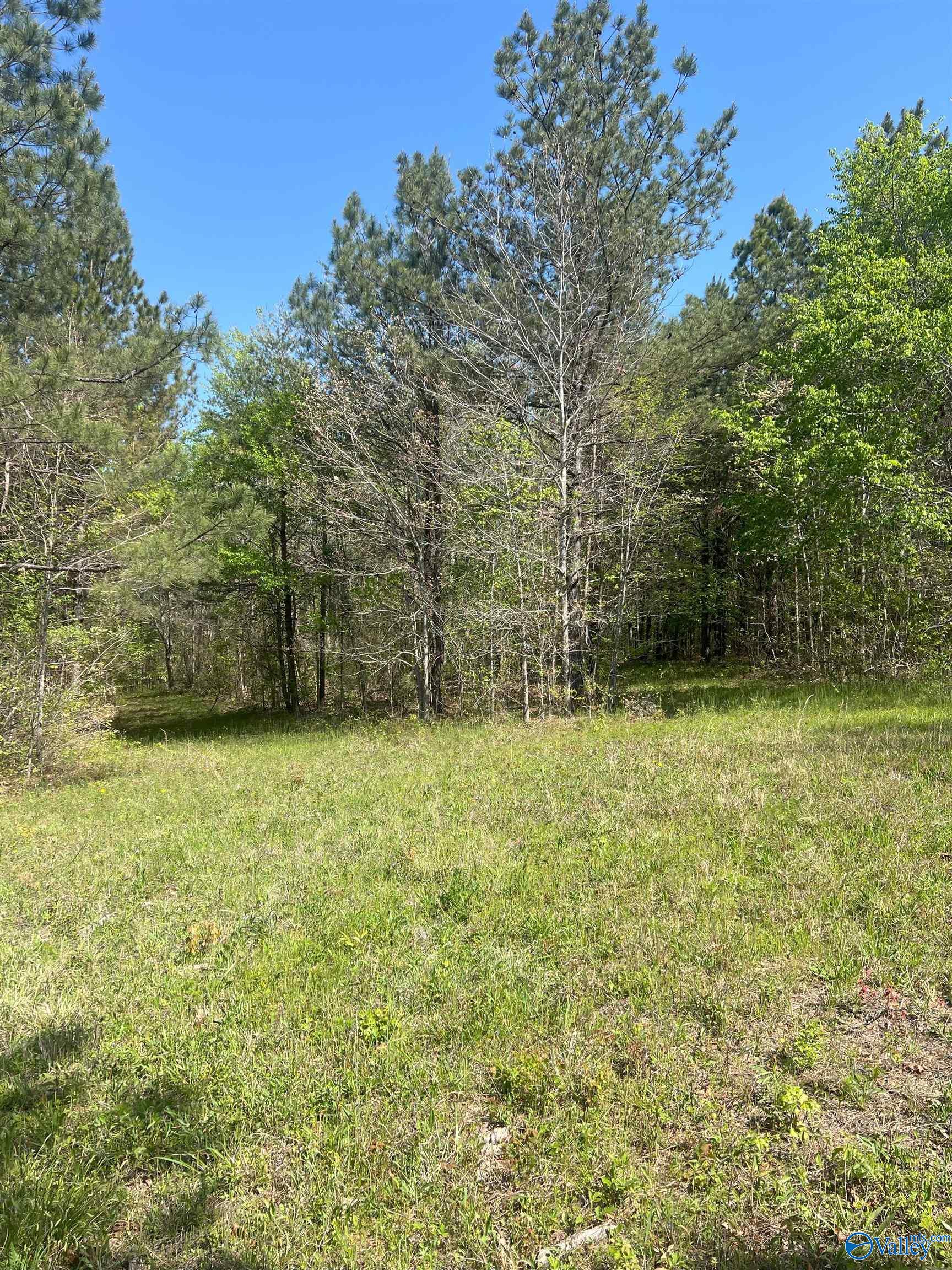 001 County Road 84, Danville, Alabama image 4