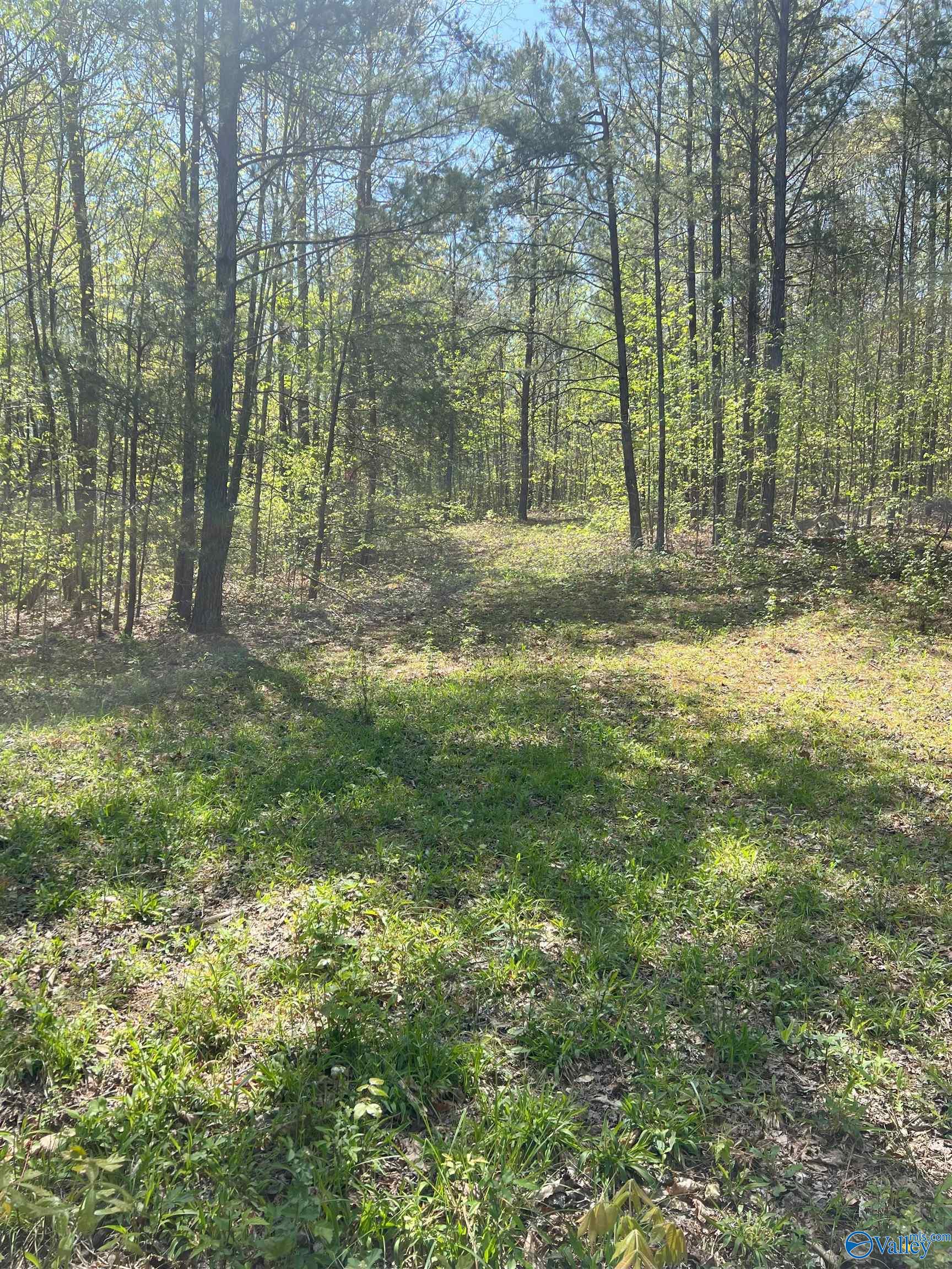 001 County Road 84, Danville, Alabama image 11