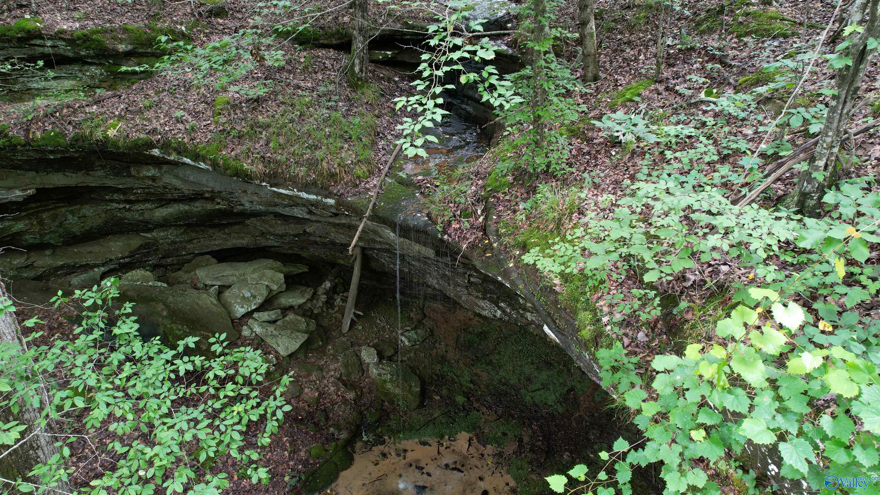 001 County Road 84, Danville, Alabama image 35