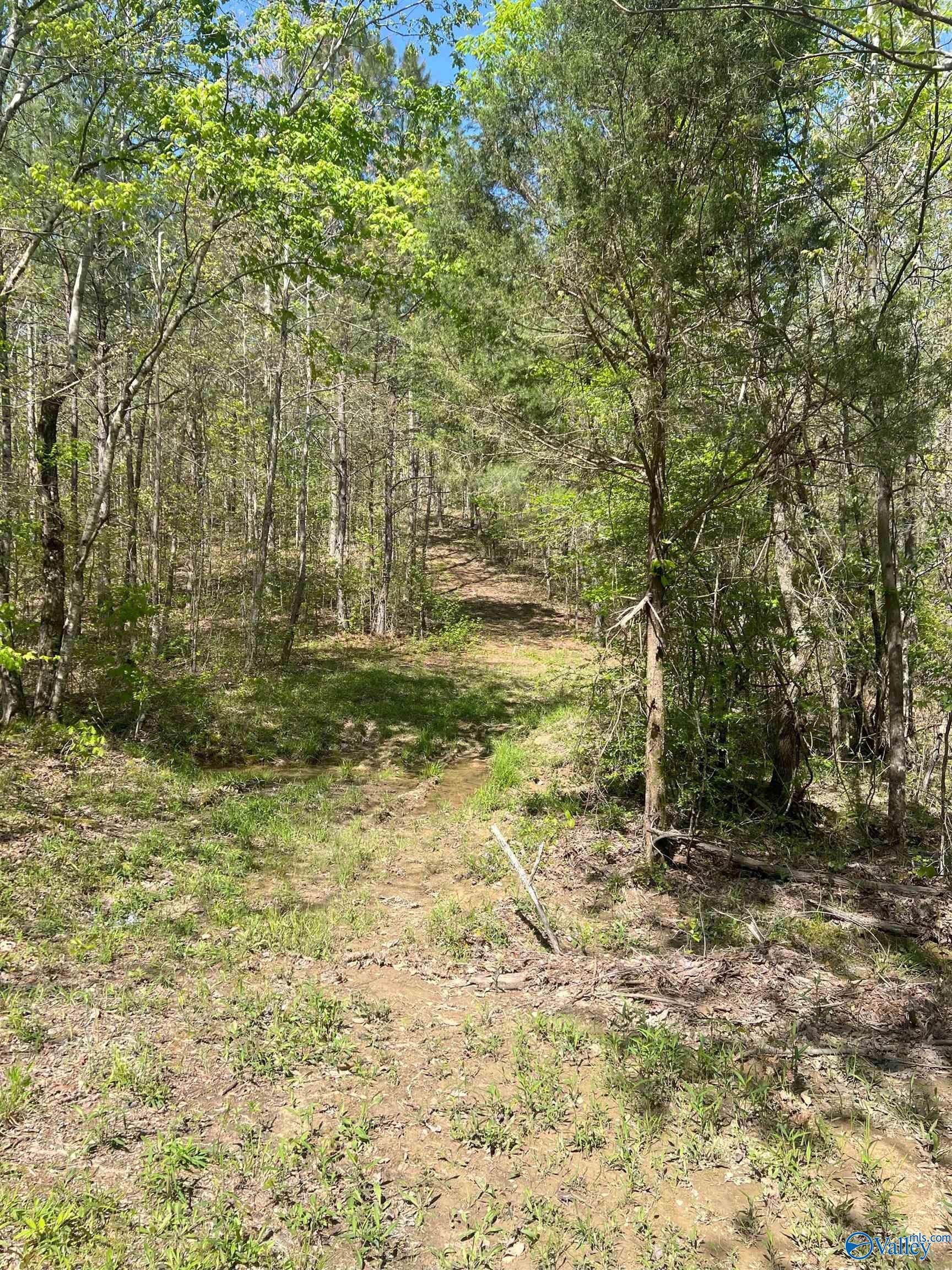 001 County Road 84, Danville, Alabama image 9