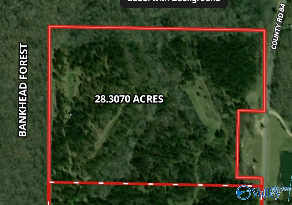 001 County Road 84, Danville, Alabama image 2