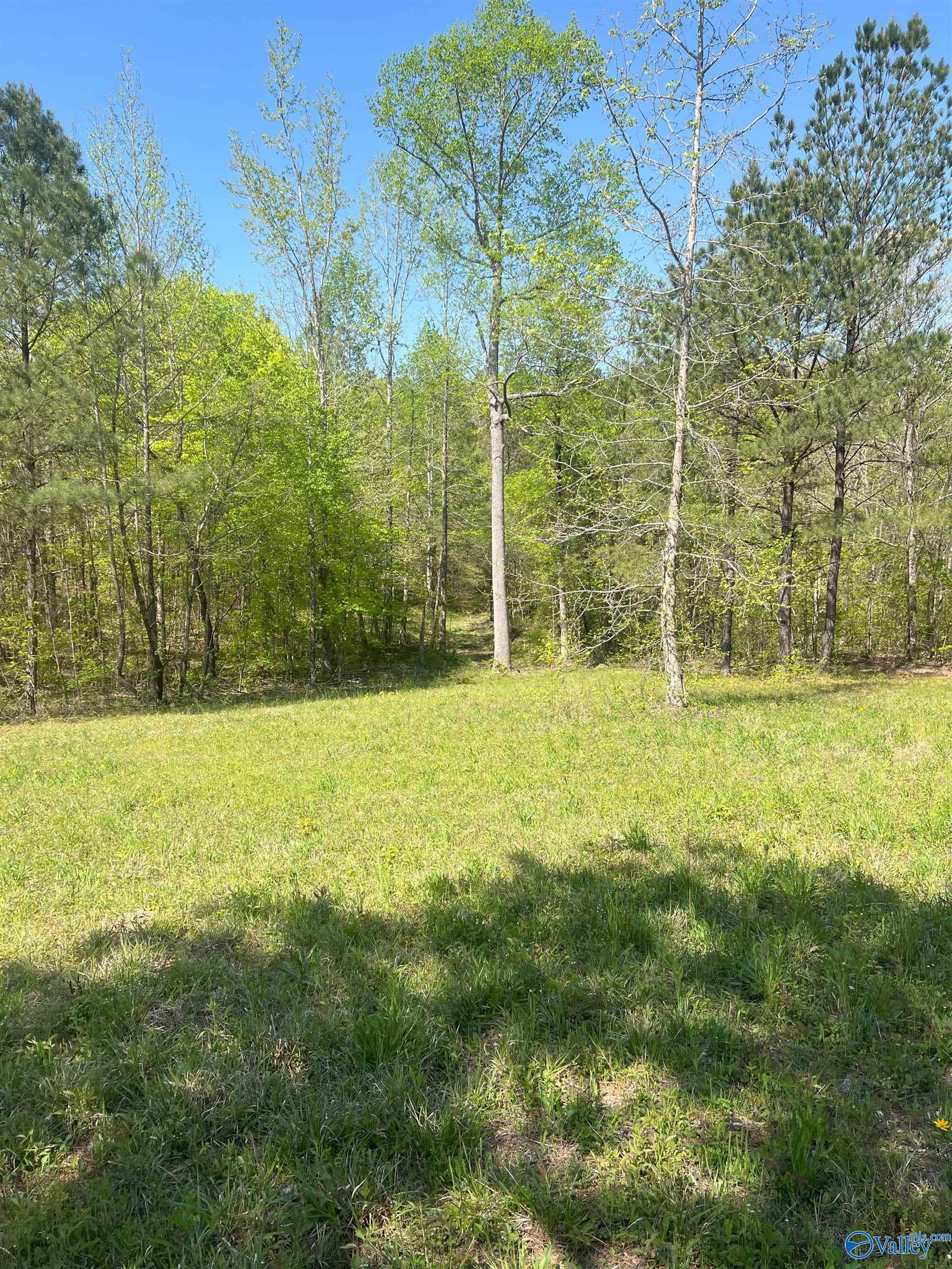 001 County Road 84, Danville, Alabama image 3