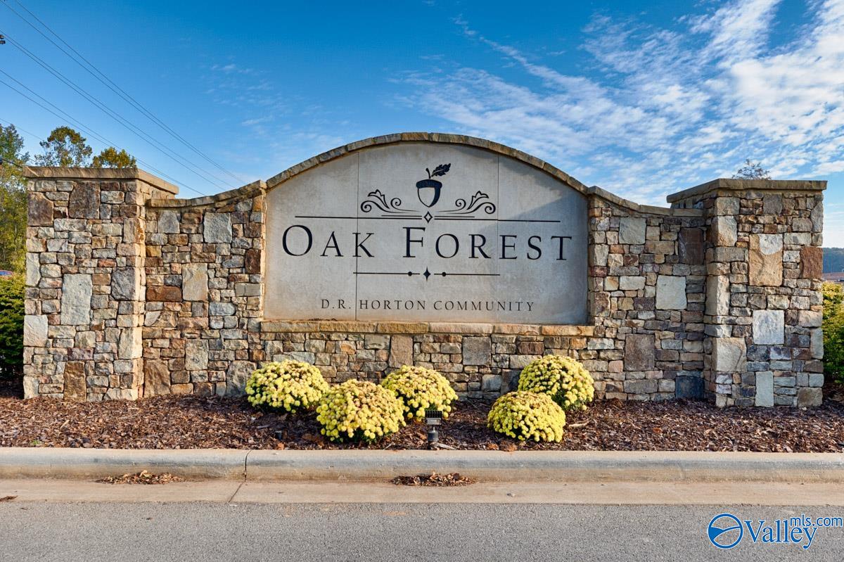 113 Duskwood Drive, Harvest, Alabama image 21