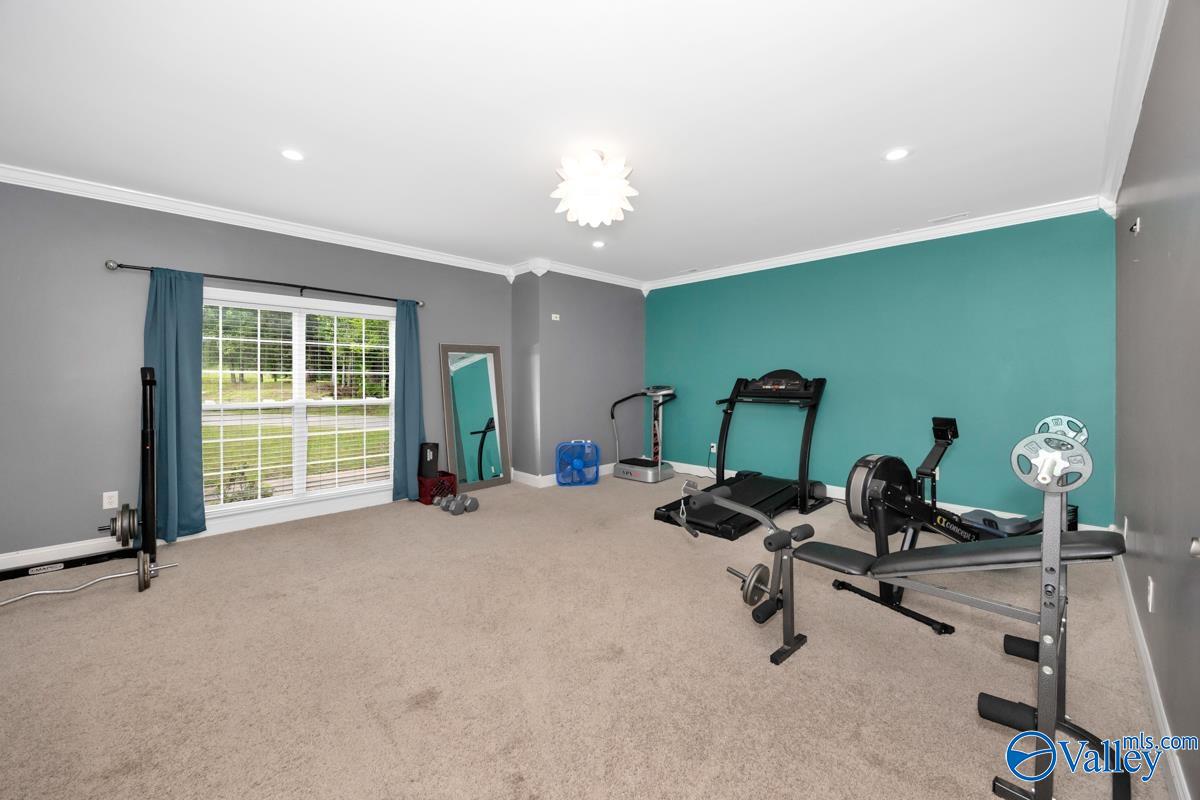 256 Carters Gin Road, Toney, Alabama image 11