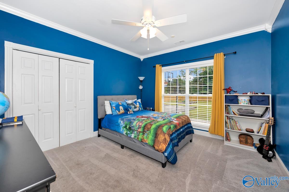 256 Carters Gin Road, Toney, Alabama image 28