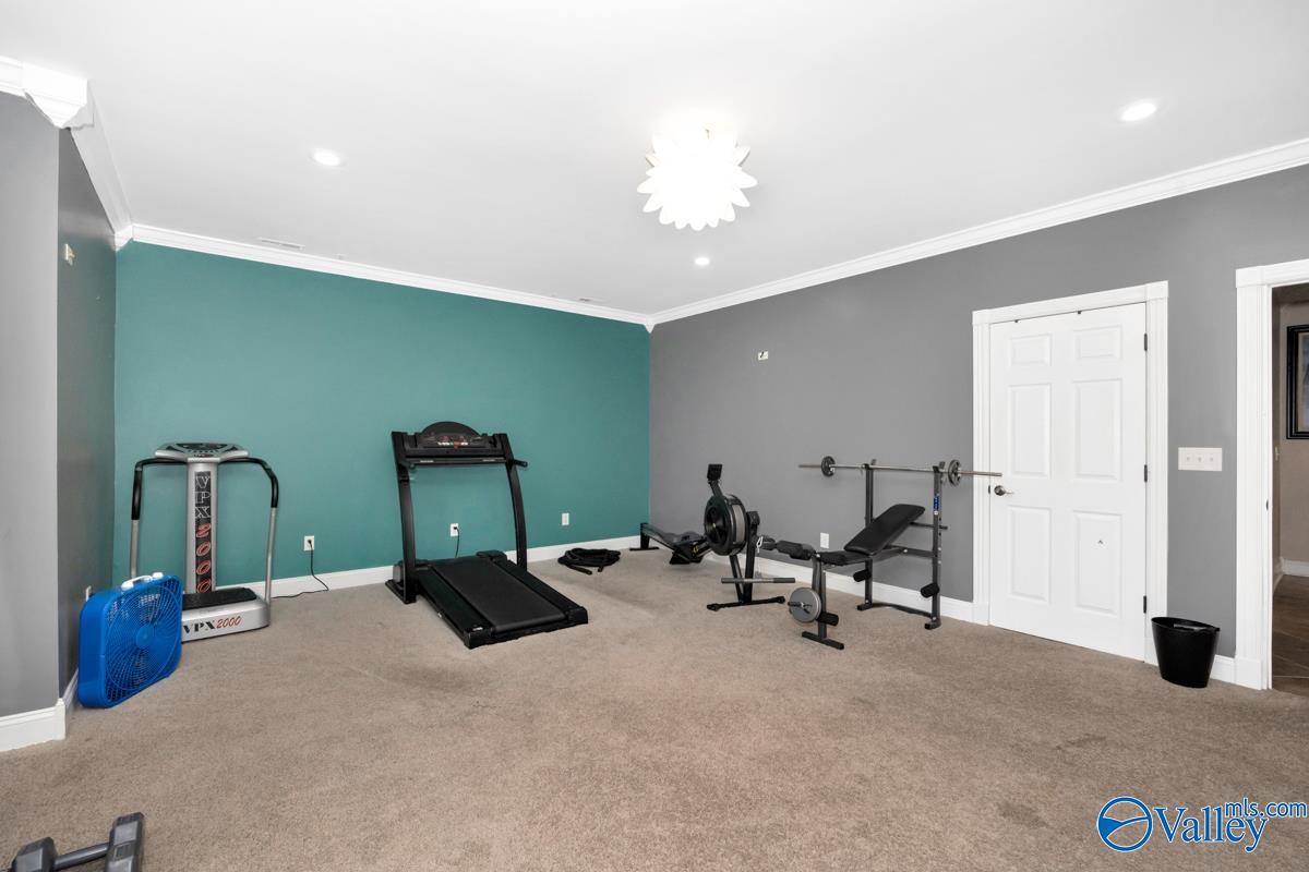 256 Carters Gin Road, Toney, Alabama image 24