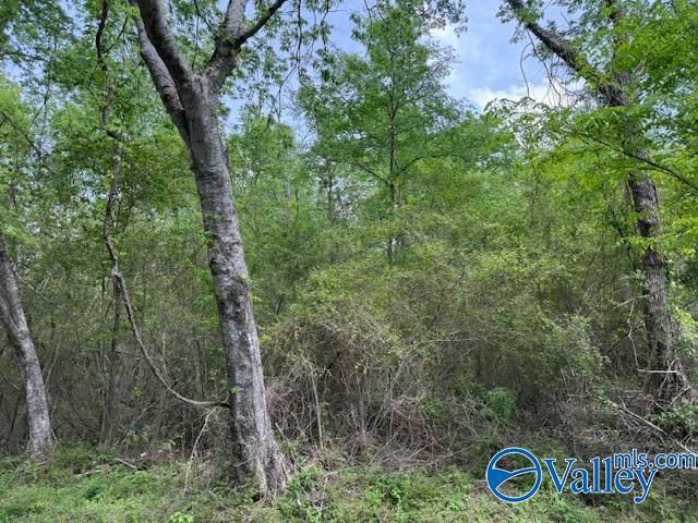 * Gross Road, Guntersville, Alabama image 1