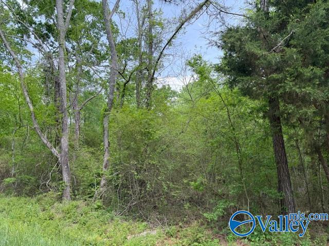 * Gross Road, Guntersville, Alabama image 2
