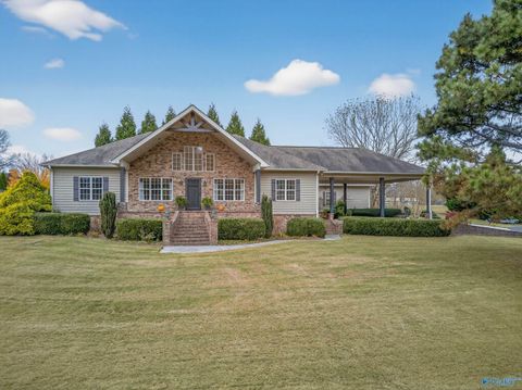 Photo of 157 Olympia Lane, Grant, AL 35747 (MLS # 21903699)