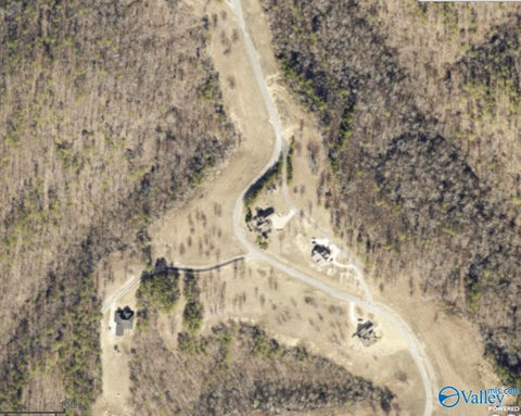 Vacant Land For Sale - LOT 48 County Road 767 #48<br/> Cedar Bluff, AL 35959