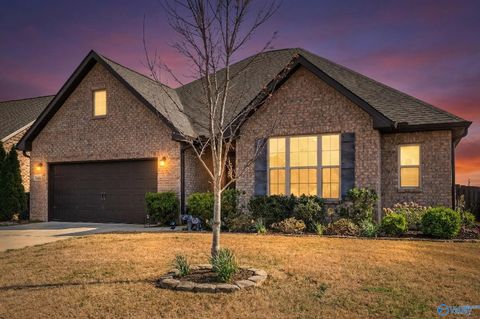 Homes For Sale - 146 Willow Bank Circle<br/> Morgan County, Decatur, AL 35603