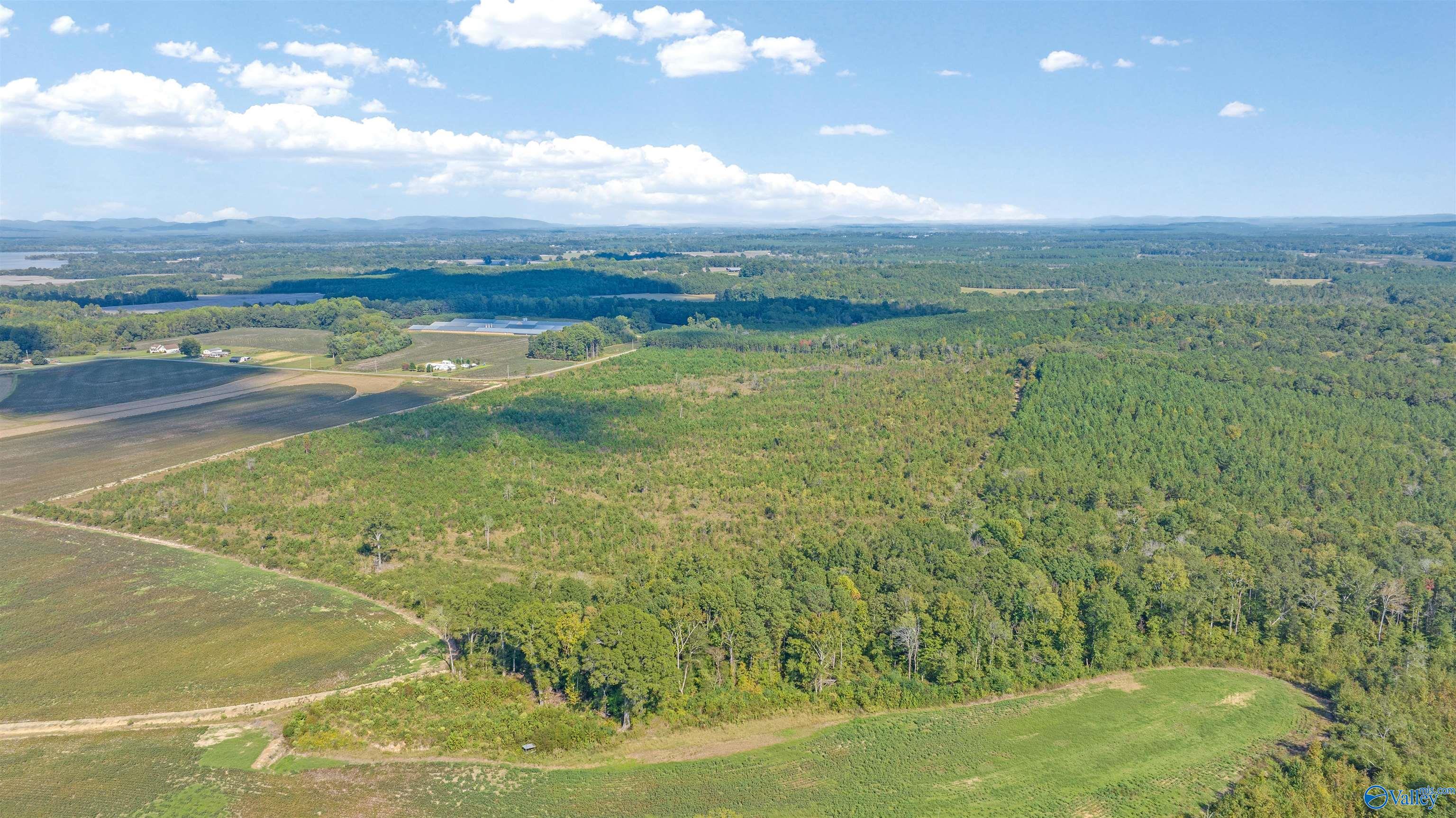 60 Acres County Road 239, Centre, Alabama image 3