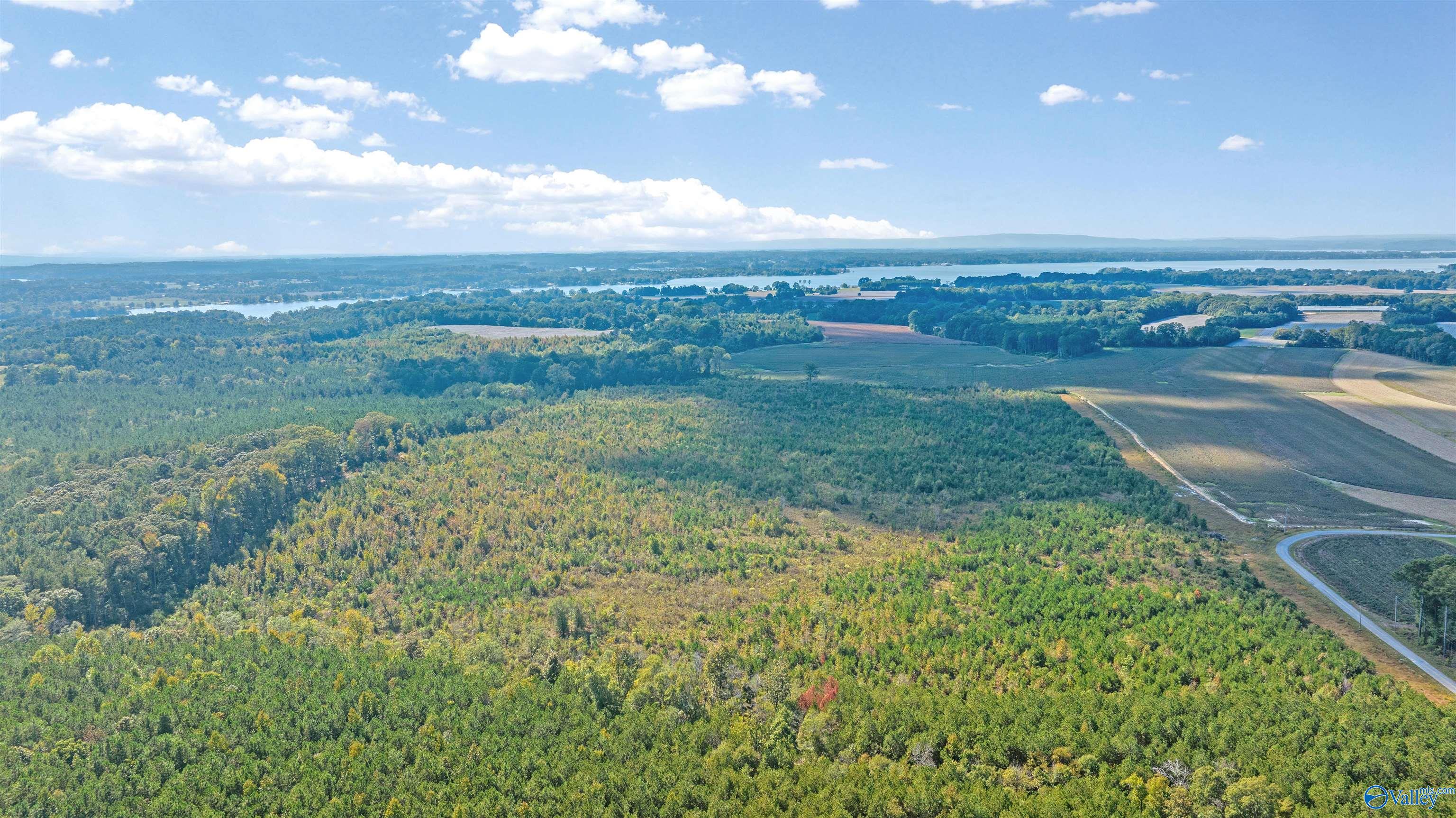 60 Acres County Road 239, Centre, Alabama image 6