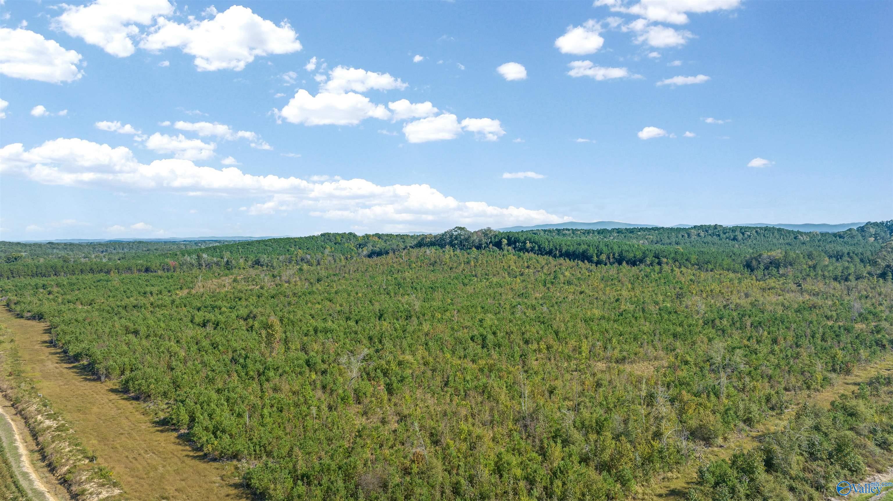 60 Acres County Road 239, Centre, Alabama image 12