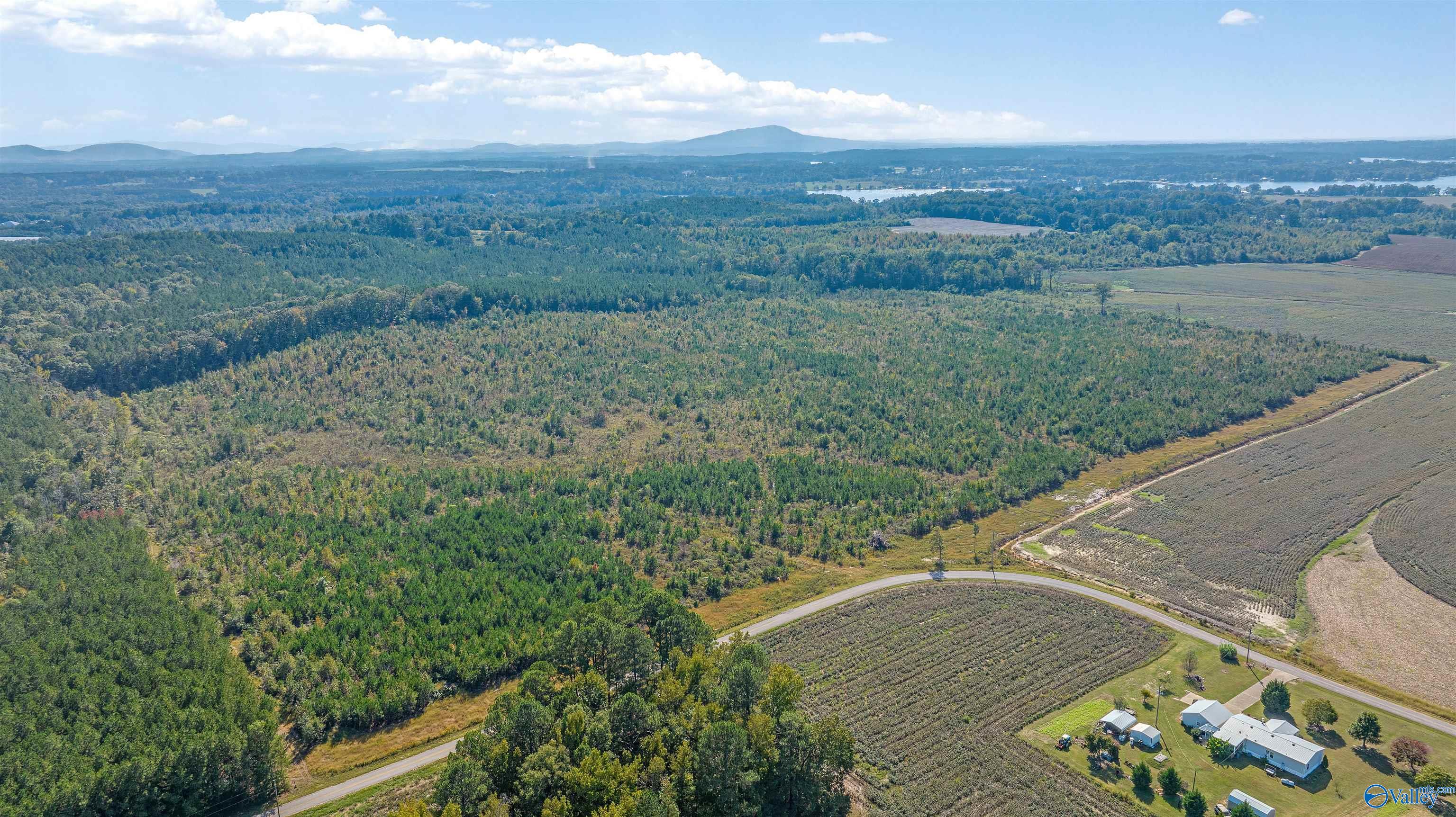 60 Acres County Road 239, Centre, Alabama image 15