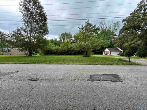 Vacant Land For Sale - 368 Little Lones Road<br/> Madison County, Huntsville, AL 35811