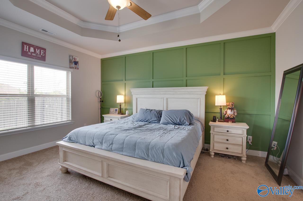 164 Grey Fawn Trail, Madison, Alabama image 19