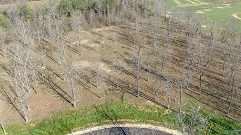 Lot 22 Garrett Street Rainsville AL 35986