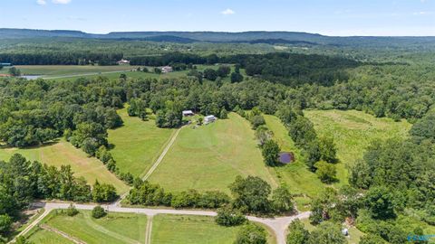 Vacant Land For Sale - 13AC County Road 501<br/> Cullman County, Hanceville, AL 35077