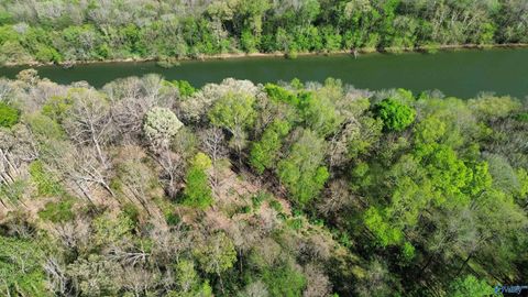 Vacant Land For Sale - LOT 12 Christopher Road<br/> Elkmont, AL 35620