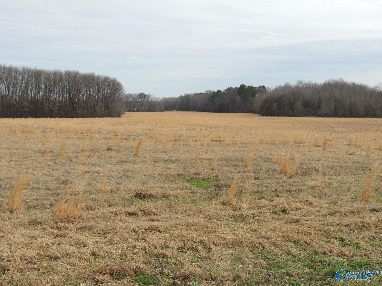 1-2 Merrill Road, Ardmore, Tennessee image 8