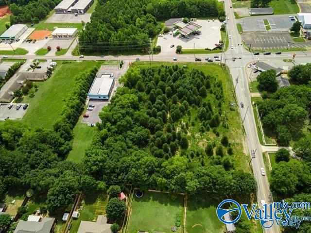 3- Acres Wall Triana Hwy, Harvest, Alabama image 4