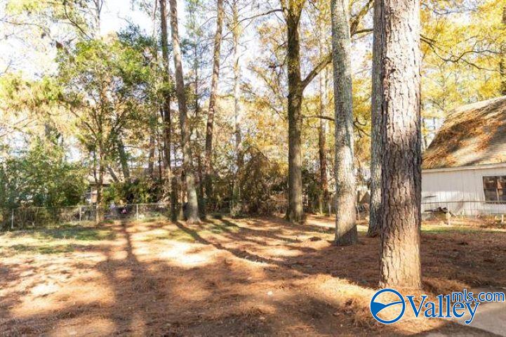 3419 Tanglewood Drive, Decatur, Alabama image 26