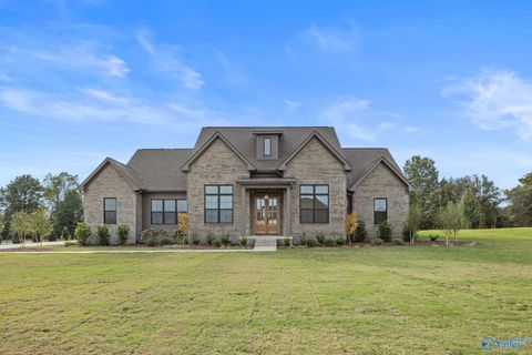 Homes For Sale - 166 Randal Lane<br/> Lauderdale County, Florence, AL 35634