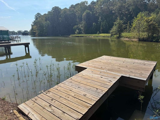 140 COUNTY ROAD 534, CENTRE, AL 35960 - Image 945c6325d1e7f218fdaf2eb8b23c9840/383741134