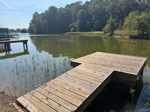 Vacant Land For Sale - 140 County Road 534<br/> Cherokee County, Centre, AL 35960
