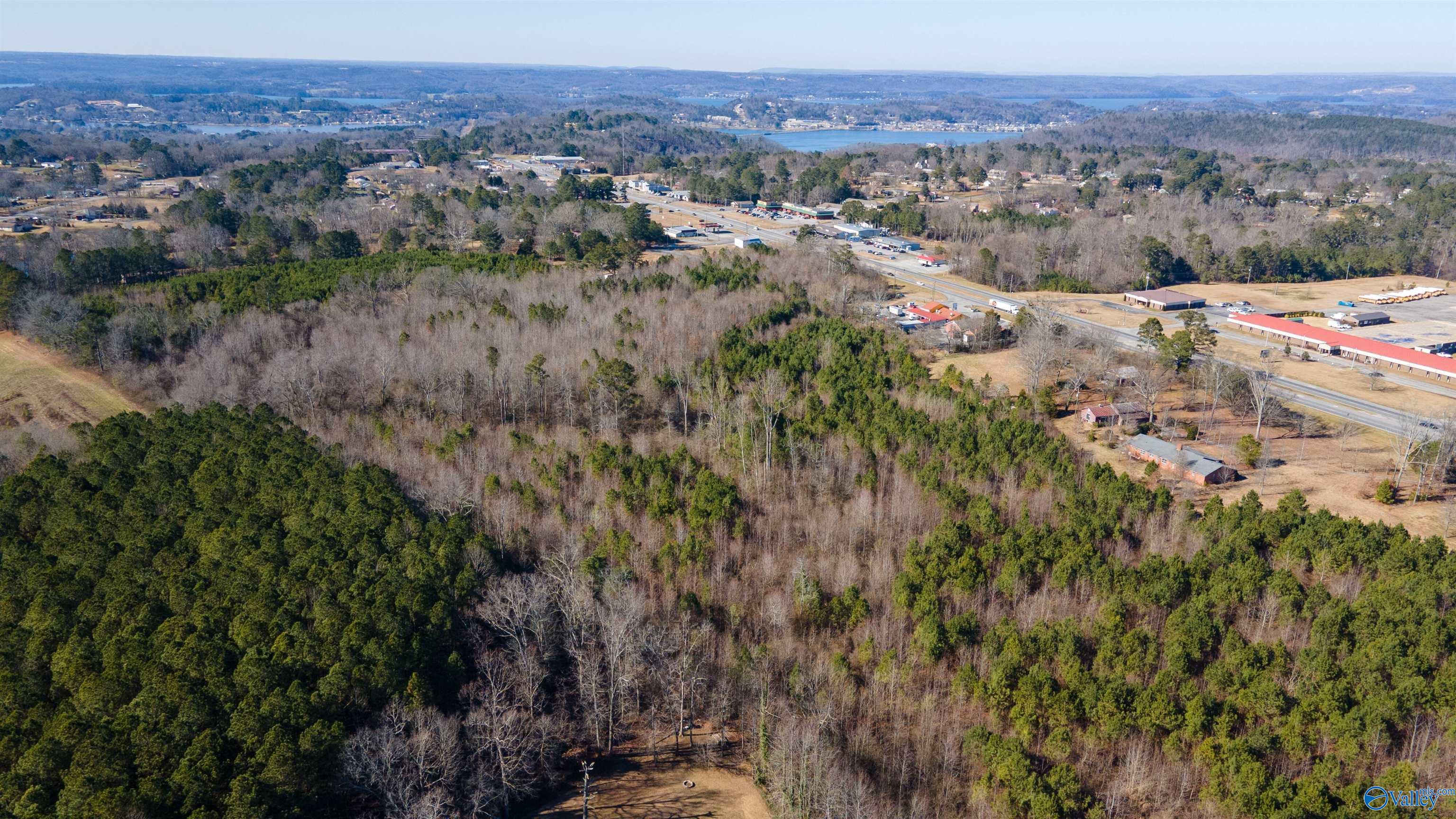 12261 Highway 431, Guntersville, Alabama image 2