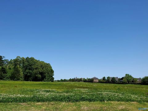 Vacant Land For Sale - 1 Browns Ferry Road<br/> Madison, AL 35756