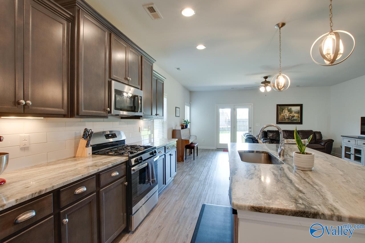 4304 Adventura Drive, Owens Cross Roads, Alabama image 10