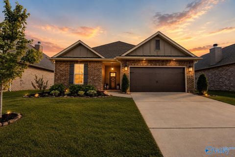 136 Rita Ann Way Meridianville AL 35759